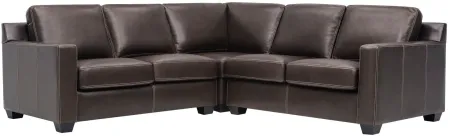 Anaheim Leather 3-pc. Sectional in Brown by Bellanest