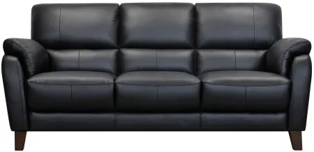 Harmony 2-pc.. Leather Sofa and Loveseat Set in Atollo Black by Bellanest