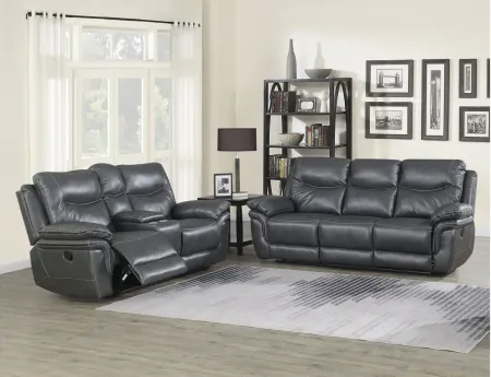 Isabella Sofa and Loveseat Set in Gray by Steve Silver Co.