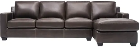 Anaheim Leather 2-pc. Sectional in Brown by Bellanest