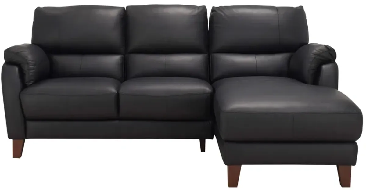 Harmony 2-pc. Sectional