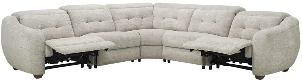 Carson 5-pc. Dual Power Reclining Sectional