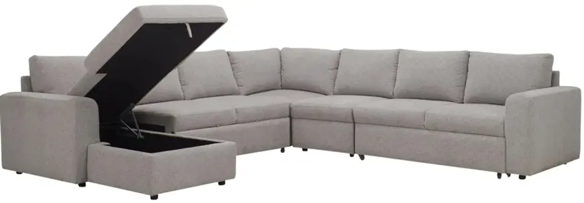 Barry 5-pc. Sectional w/ Pop-Up Sleeper