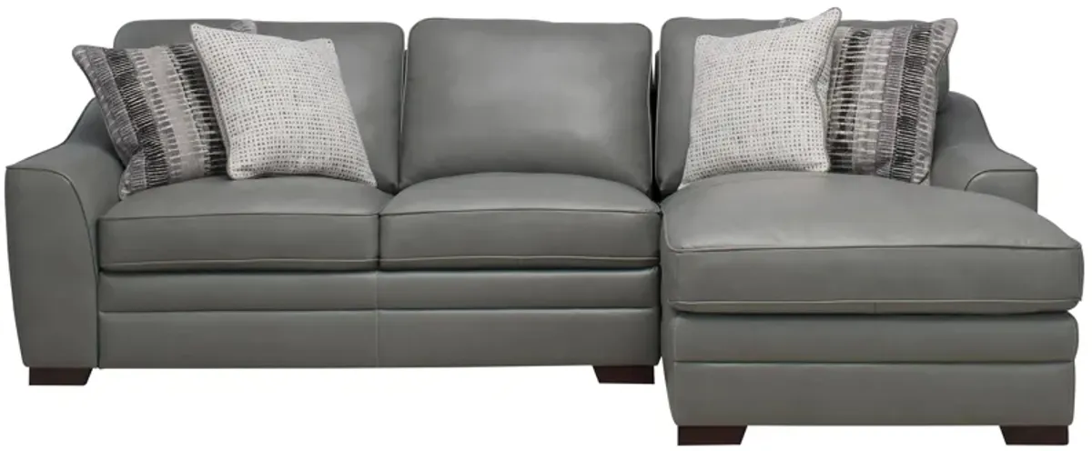 Dorian 2-pc. Sectional in Oasis Light Gray by Bellanest