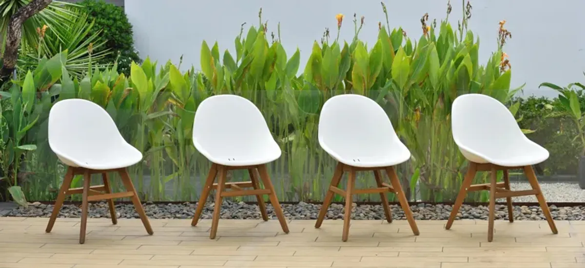 Amazonia Outdoor 4-pc. Eucalyptus Chairs