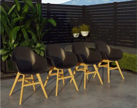 Amazonia Outdoor 4-pc. Teak Chairs in Ash Gray by International Home Miami