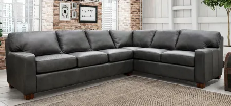 Albany 2-pc. Sectional Sofa in Urban Graphite by Omnia Leather
