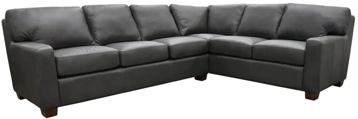 Albany 2-pc. Sectional Sofa