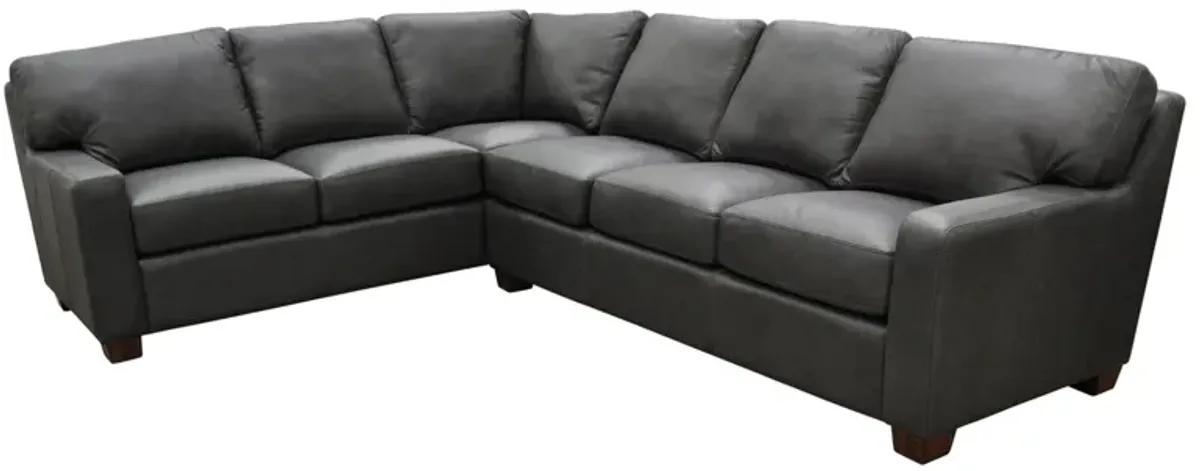 Albany 2-pc. Sectional Sofa in Urban Graphite by Omnia Leather