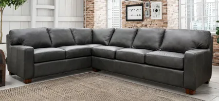 Albany 2-pc. Sectional Sofa in Urban Graphite by Omnia Leather