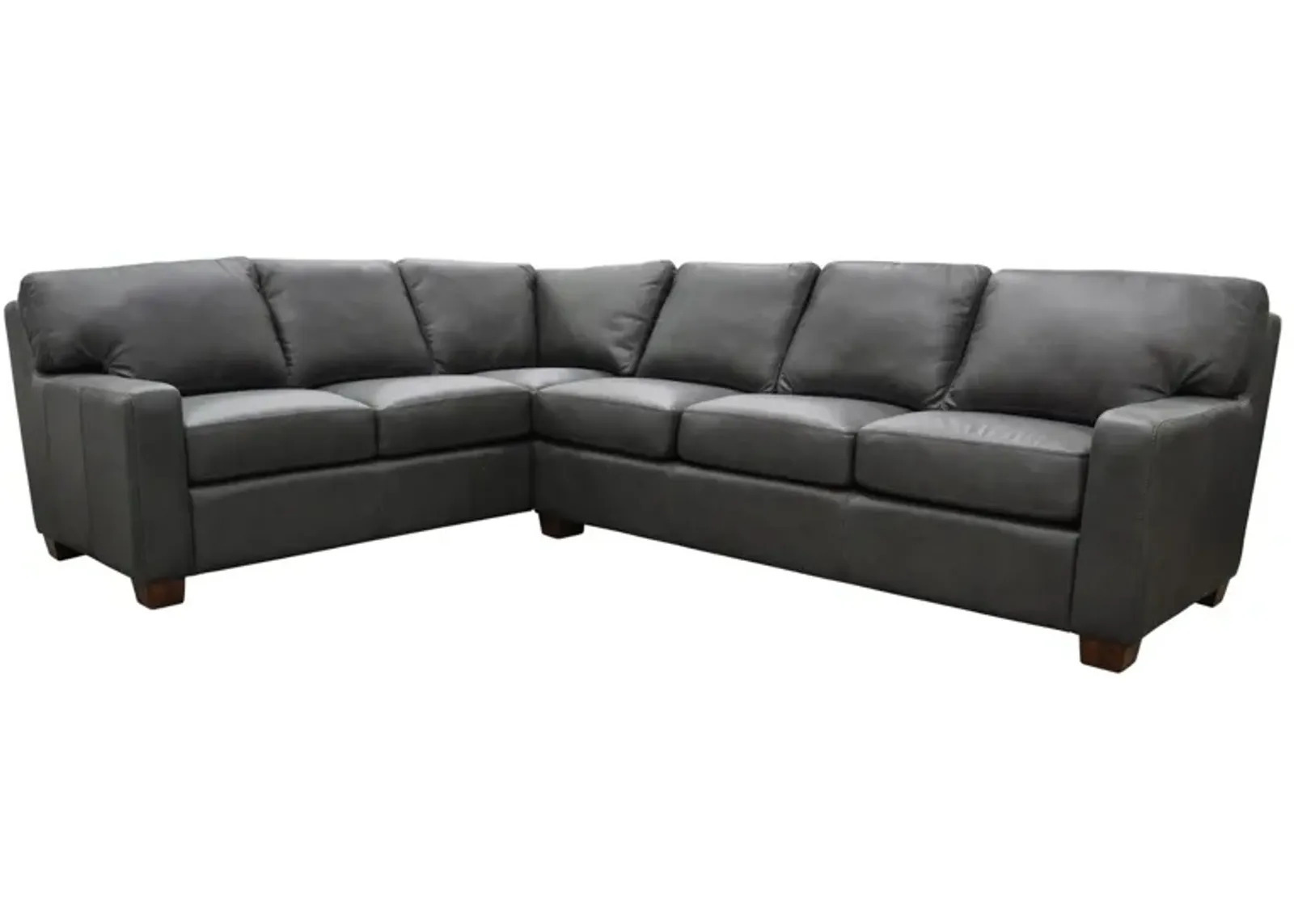 Albany 2-pc. Sectional Sofa in Urban Graphite by Omnia Leather