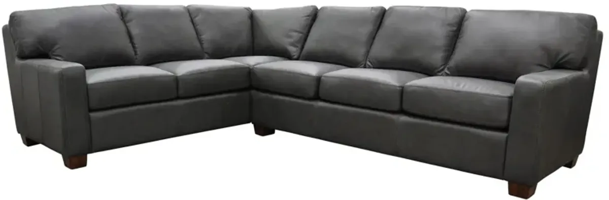 Albany 2-pc. Sectional Sofa in Urban Graphite by Omnia Leather