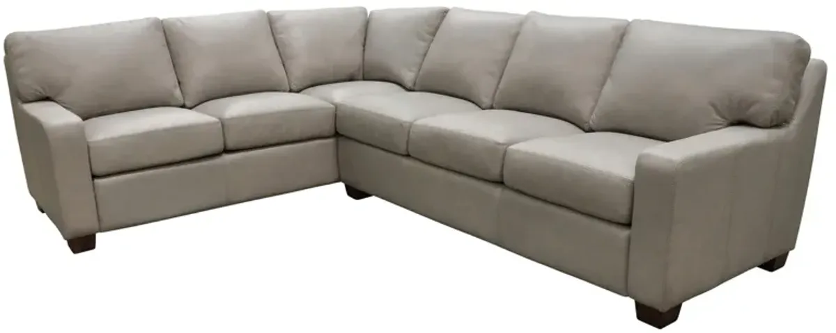 Albany 2-pc. Sectional Sofa