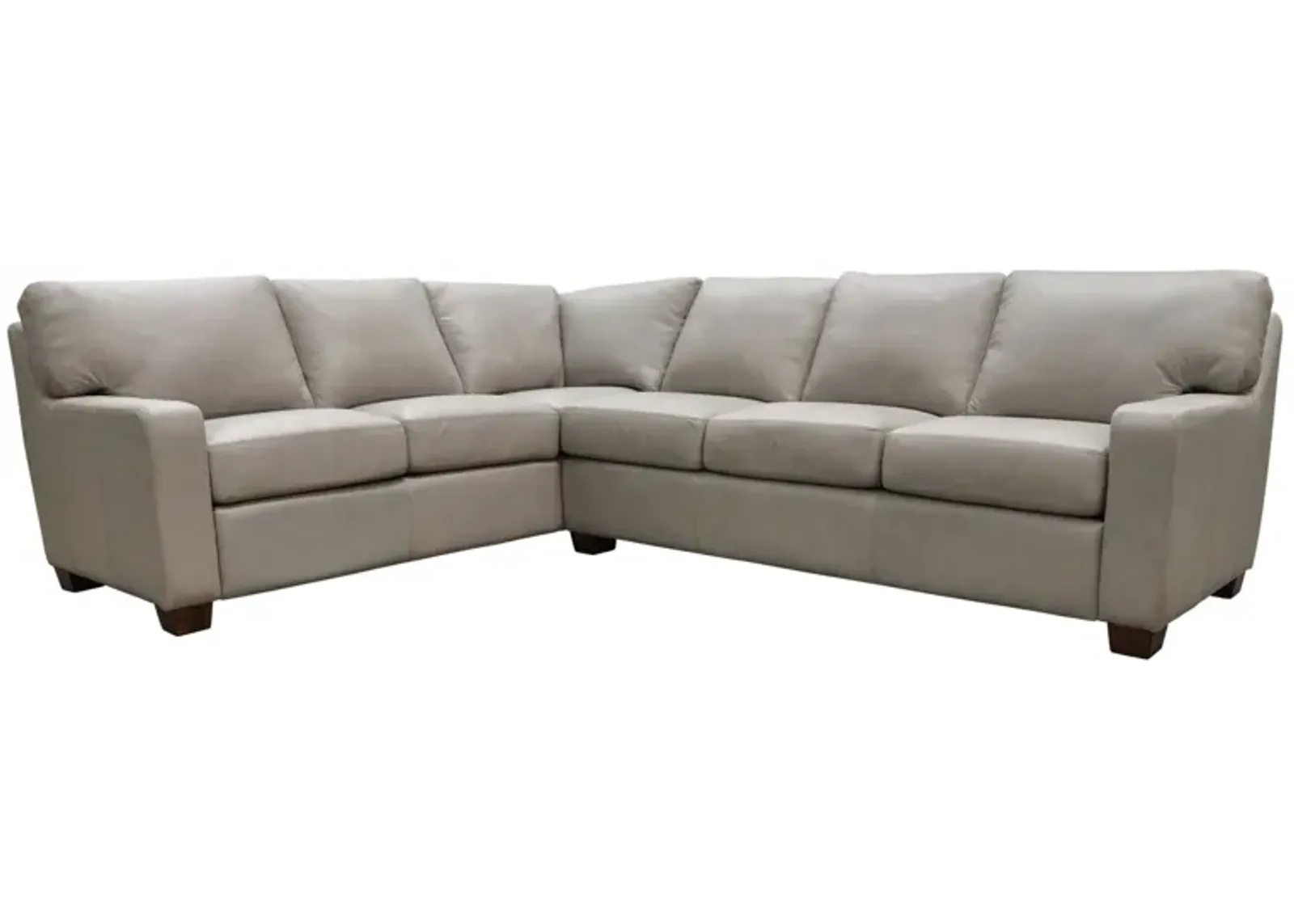 Albany 2-pc. Sectional Sofa in Urban Arctic by Omnia Leather