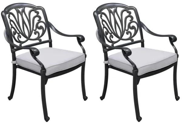 Geneva Outdoor Arm Chair, Set of 2