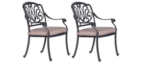 Geneva Outdoor Arm Chair, Set of 2 in Black Rust by Bellanest
