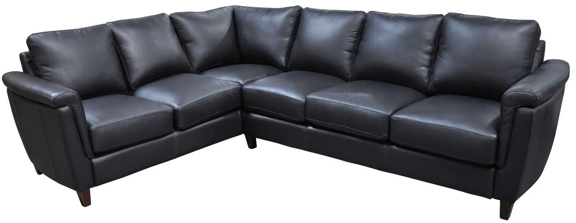 Ellis 2-pc. Sectional Sofa in Denver Black by Omnia Leather
