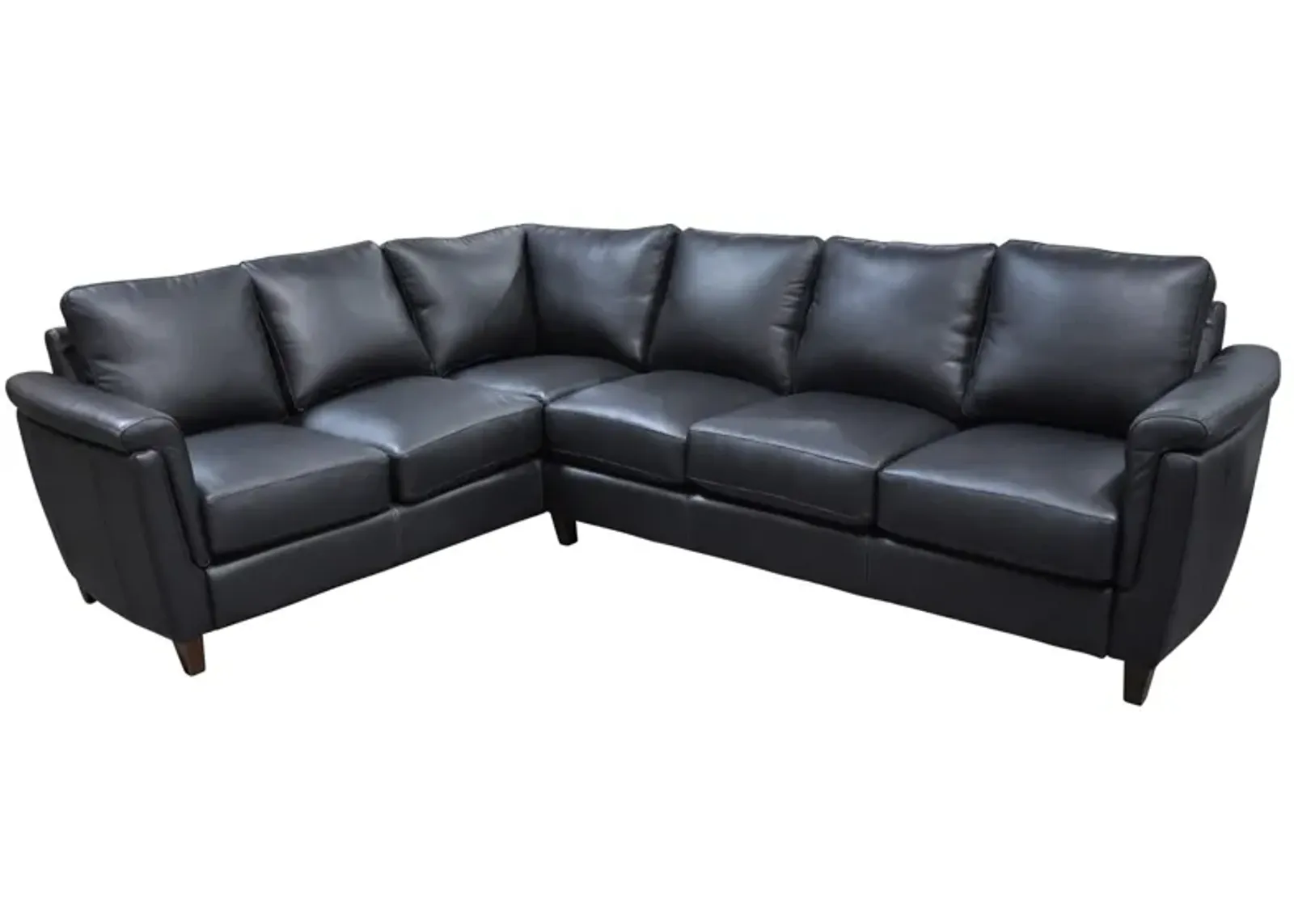 Ellis 2-pc. Sectional Sofa in Denver Black by Omnia Leather