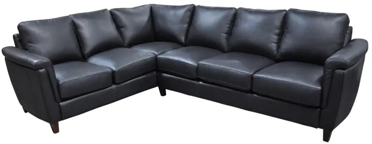 Ellis 2-pc. Sectional Sofa in Denver Black by Omnia Leather