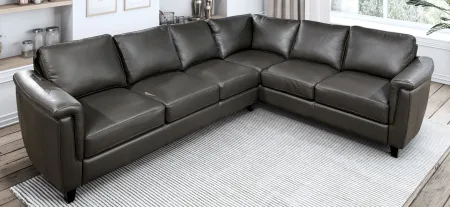 Ellis 2-pc. Sectional Sofa in Denver Charcoal by Omnia Leather