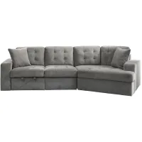Tonya 2-pc. Sectional Sofa in Gray by Homelegance