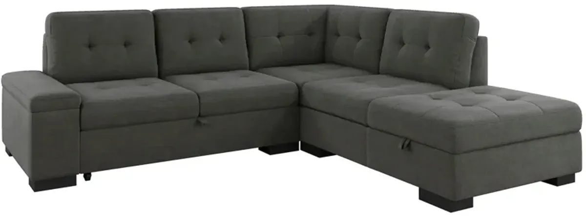 Antonio 2-pc. Sectional w/ Full Sleeper in Dark Gray by Homelegance