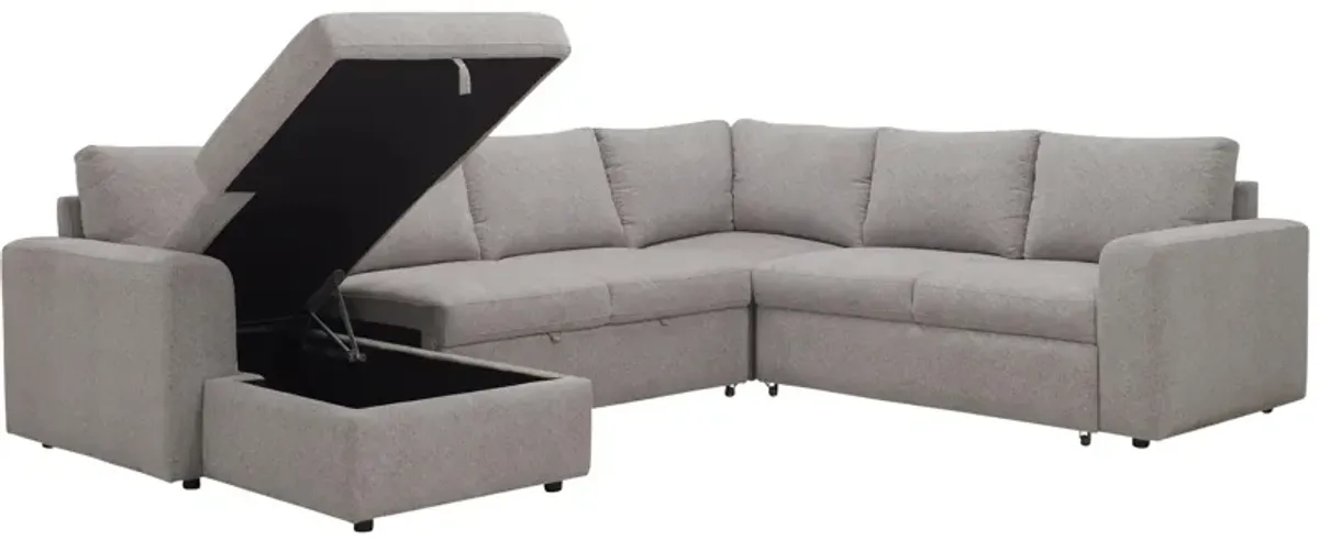 Barry 4-pc. Sectional w/ Pop-Up Sleeper