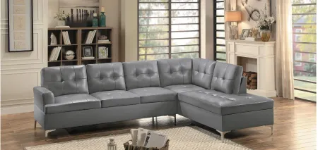 Cruz 2-pc. Sectional Sofa in Gray by Homelegance