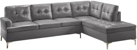 Cruz 2-pc. Sectional Sofa in Gray by Homelegance