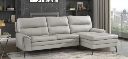 Franklin Sectional -2pc. in Gray by Homelegance