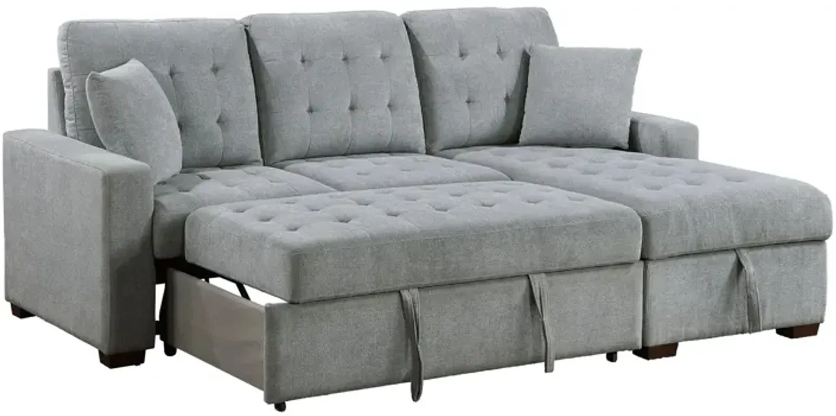 McCoy 2-pc. Sectional w/ Sleeper