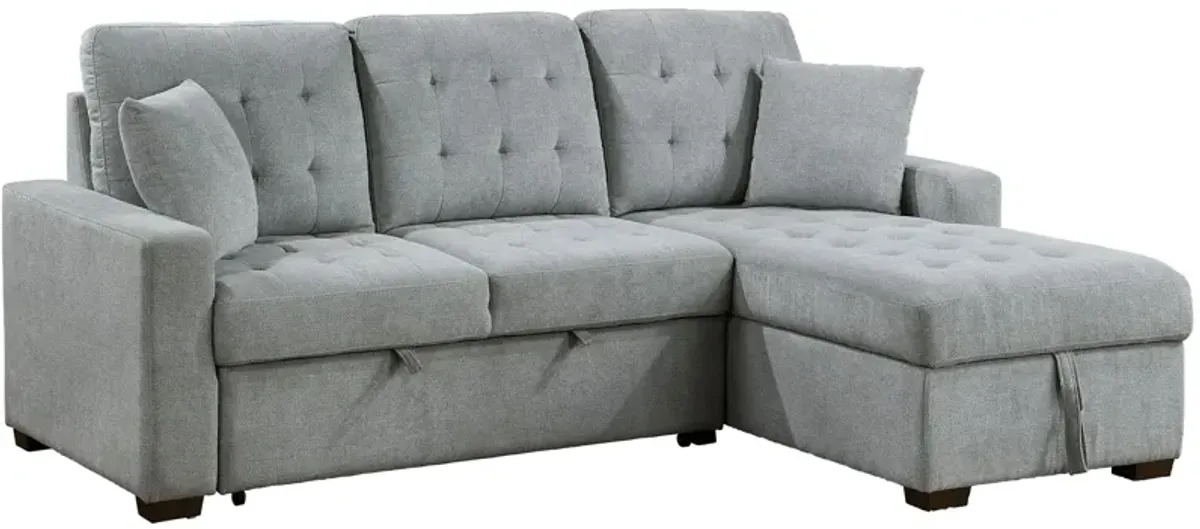 McCoy 2-pc. Sectional w/ Sleeper