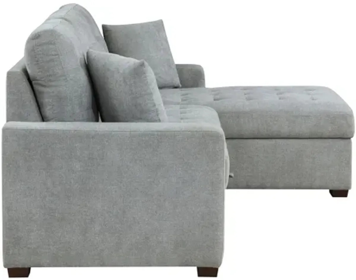 McCoy 2-pc. Sectional w/ Sleeper