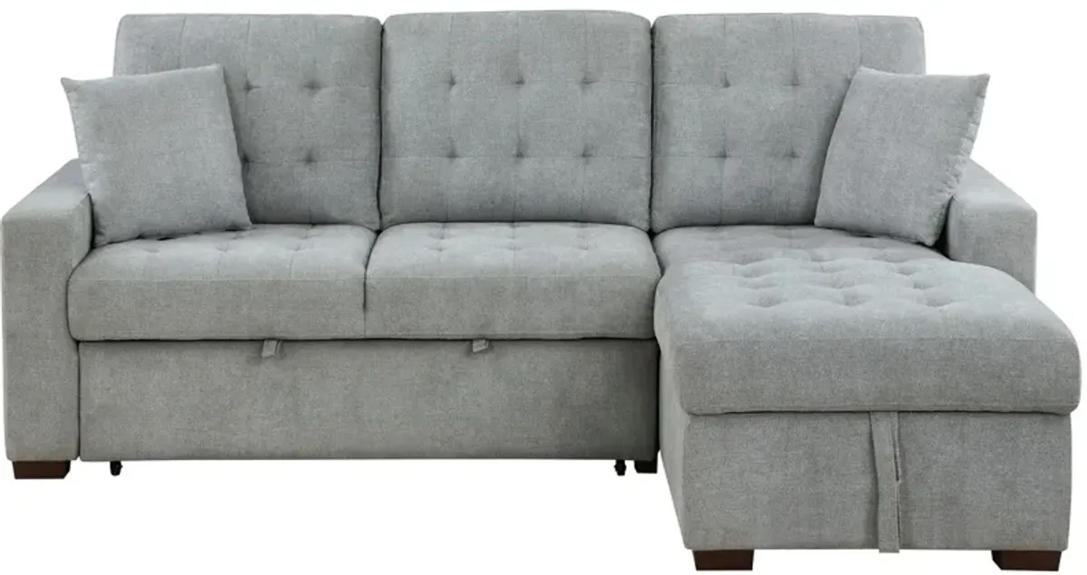 McCoy 2-pc. Sectional w/ Sleeper