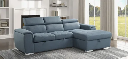 Solomon 2-pc. Sectional with Pull-Out Bed in Blue by Homelegance