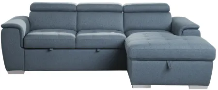 Solomon 2-pc. Sectional with Pull-Out Bed in Blue by Homelegance