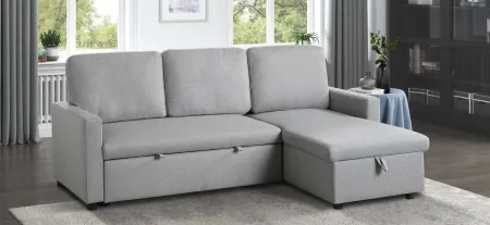 Dunleith 2-pc Reversible Sectional With Pull-Out Bed And Storage in Light Gray by Homelegance