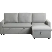 Dunleith 2-pc.. Reversible Sectional with Pull-Out Bed and Storage in Light Gray by Homelegance
