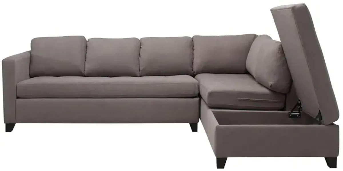 Dexter 2-pc. Sofa Chaise w/Queen Sleeper