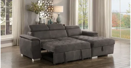 Elenor 2-pc. Sectional Sleeper in Taupe by Homelegance