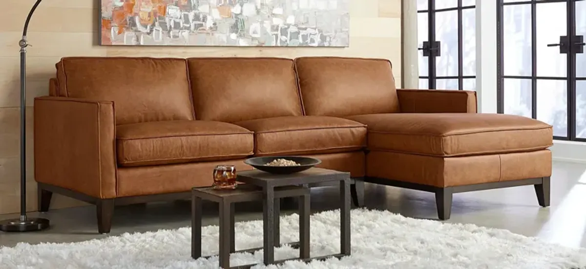 Roscoe 2-pc. Sectional Sofa with Left Arm Facing Chaise