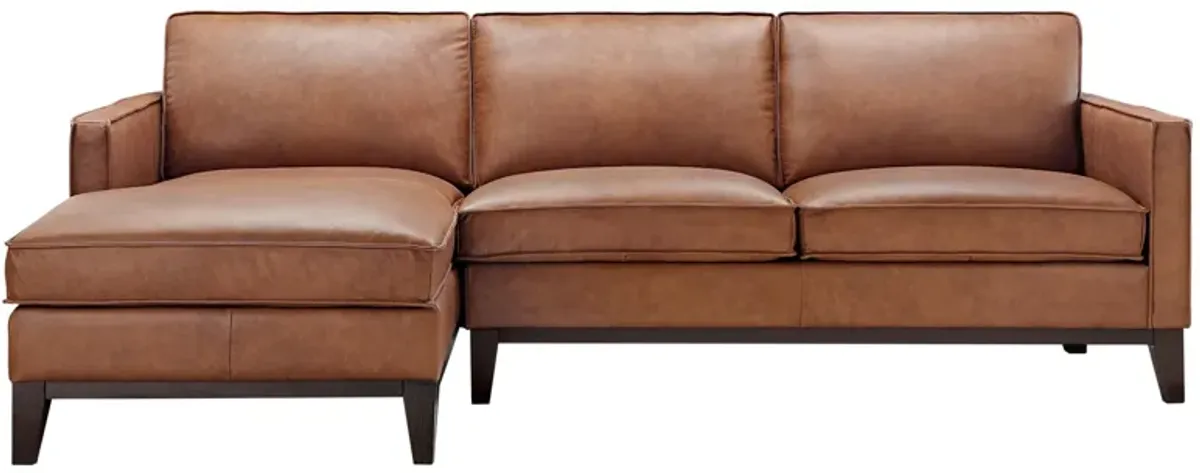 Roscoe 2-pc. Sectional Sofa with Left Arm Facing Chaise in Brown by GTR Leather Inc