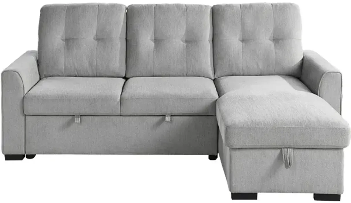 Ember 2-pc. Reversible Sectional w/ Sleeper in Light Gray by Homelegance