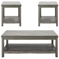 Fontaine 3PK Occasional Table Set in Gray by Homelegance
