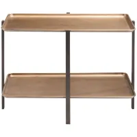 Benjamin Coffee Table in Gold by Zuo Modern