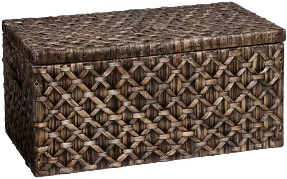 Darley Water Hyacinth Storage Trunk