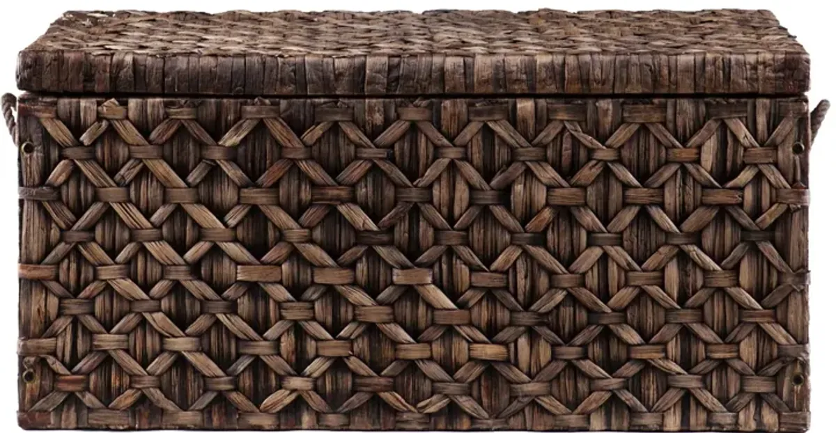 Darley Water Hyacinth Storage Trunk