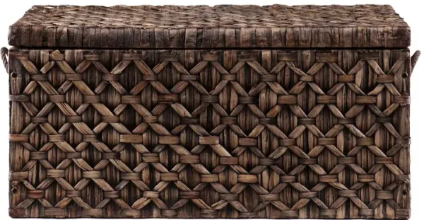 Darley Water Hyacinth Storage Trunk