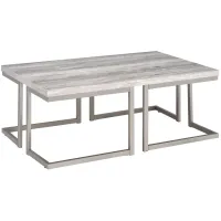 David Cocktail Table in Grey Driftwood by STEVE SILVER COMPANY