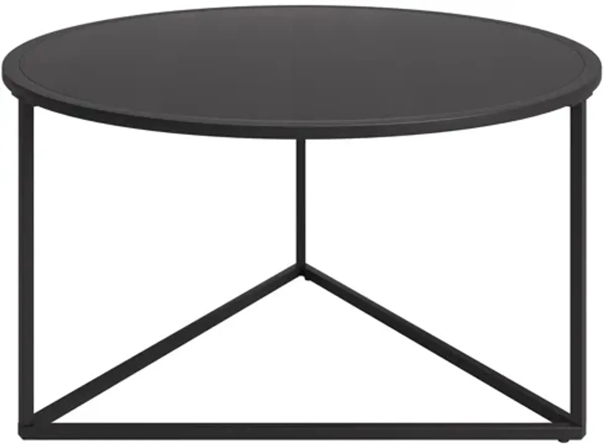 Raya Round Coffee Table with Metal Top